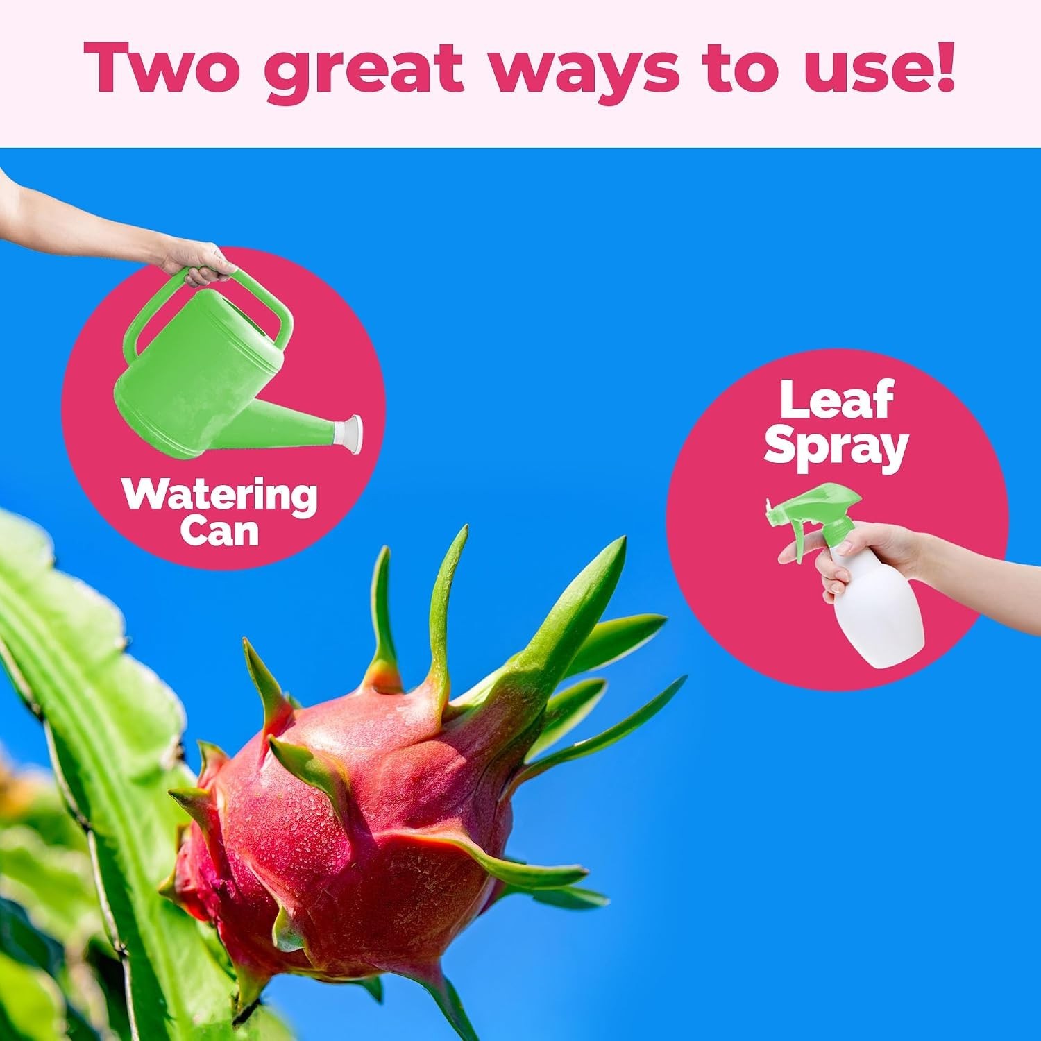 Dragon Fruit Fertilizer Liquid Plant Food for Bigger Fruit Better Flowering