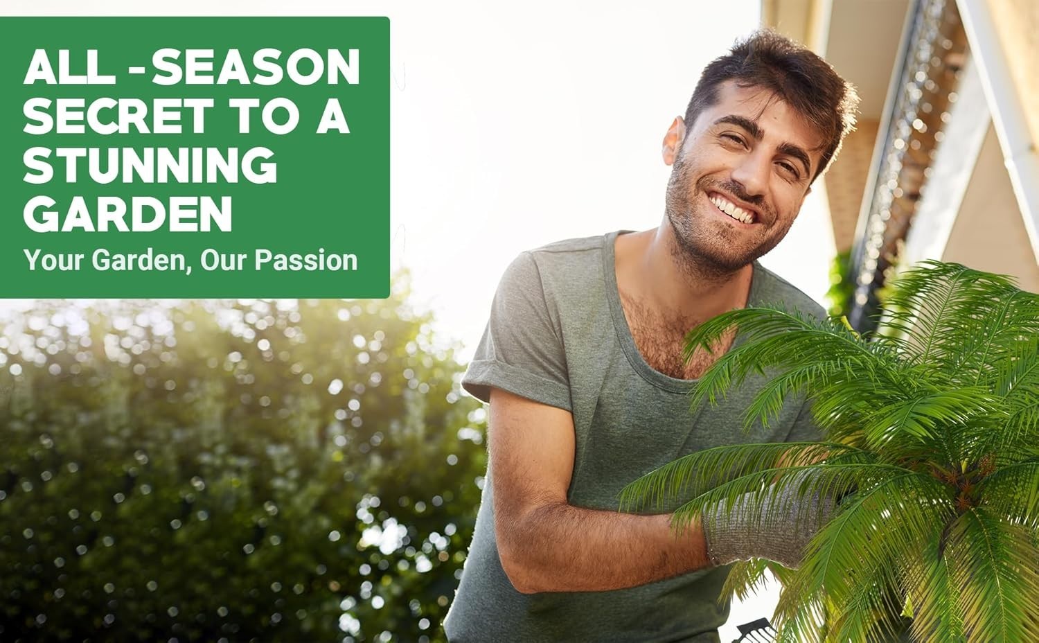 8-4-8 Palm Tree Fertilizer | Indoor Outdoor Plant Food – Quick Release Nitrogen