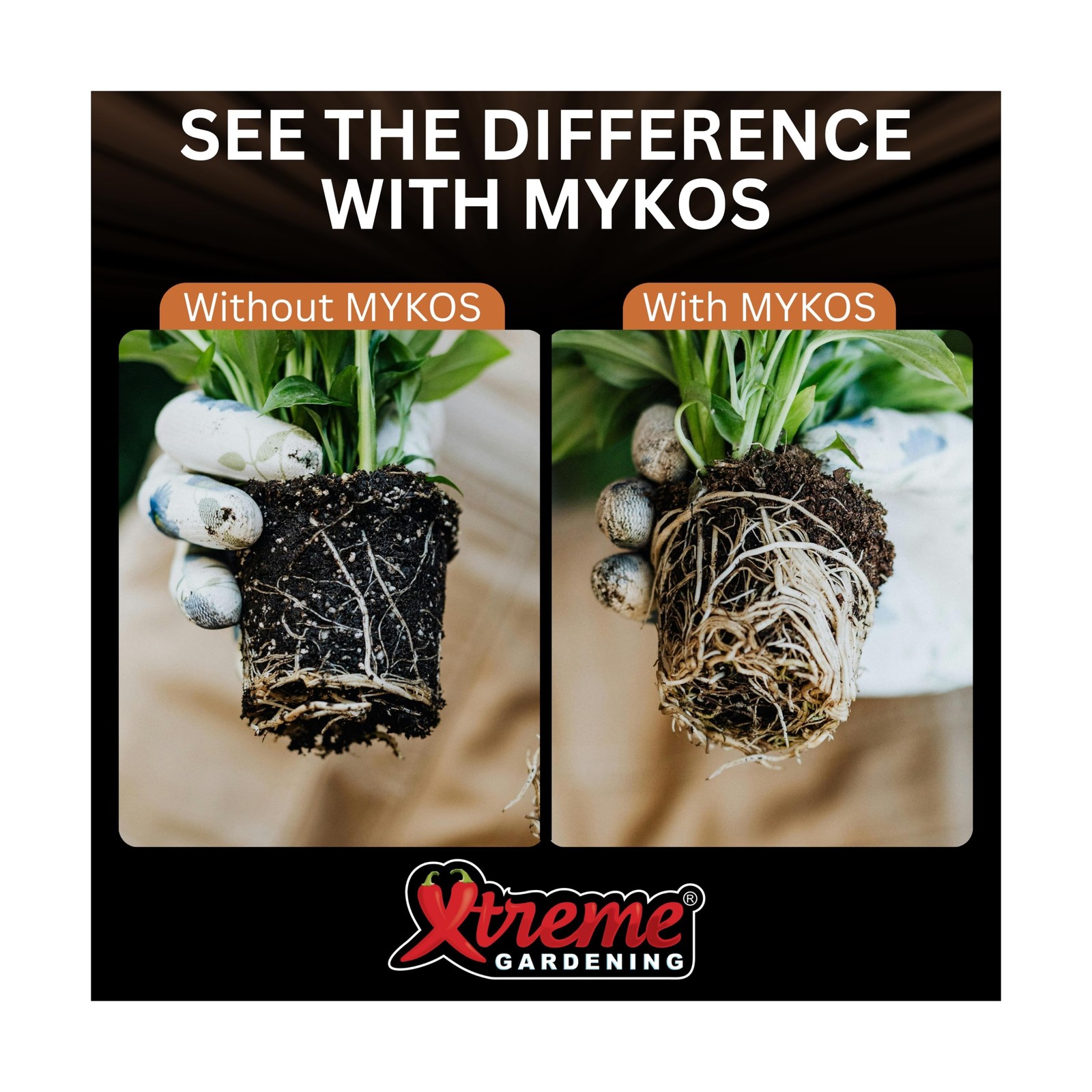 Xtreme Gardening Mykos 20 lb – Mycorrhizal Fungi Root Stimulator for Plant