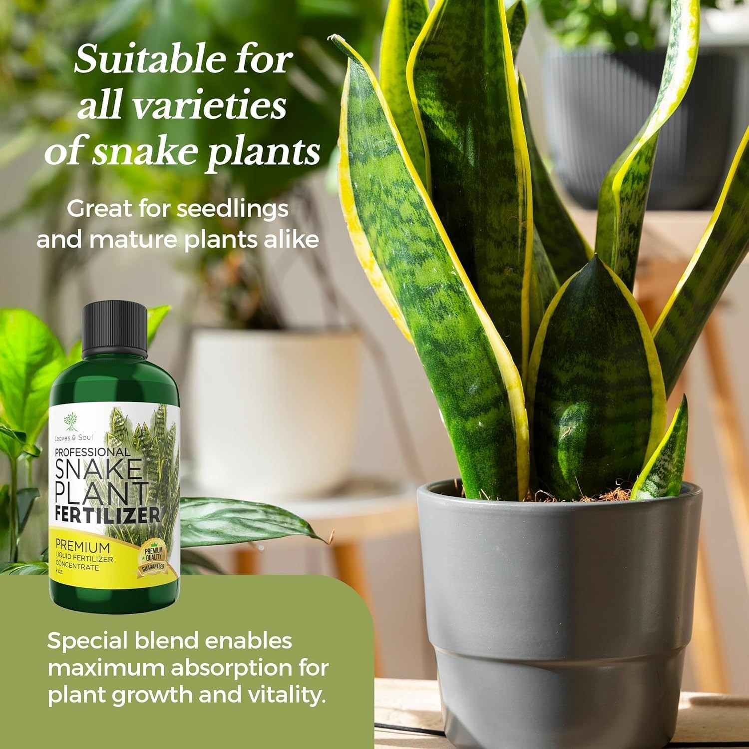 3-1-2 Liquid Fertilizer for Snake Plants – 8 oz for Flourishing Greenery