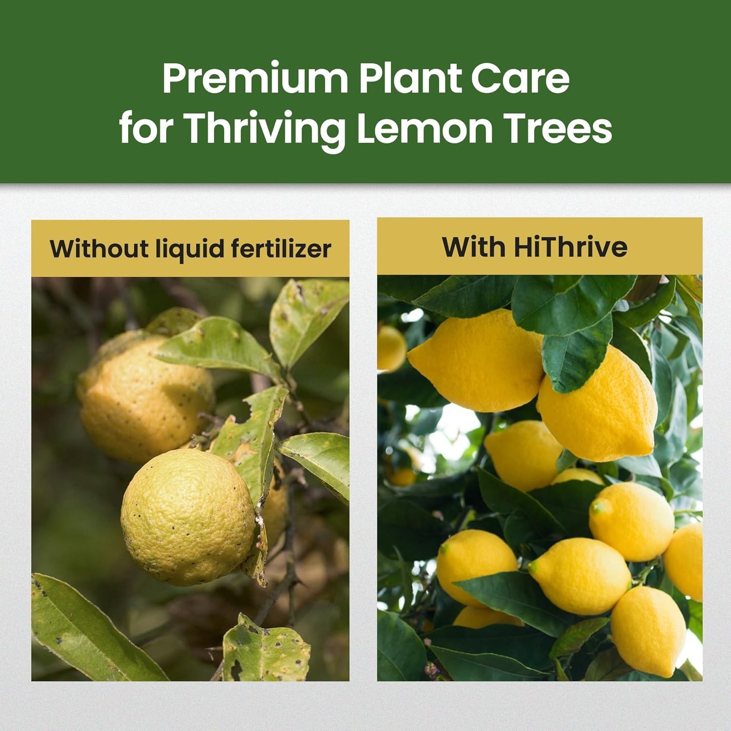 32oz Lemon Tree Fertilizer – Makes 64 Gallons for Lush Growth & Juicy Lemons