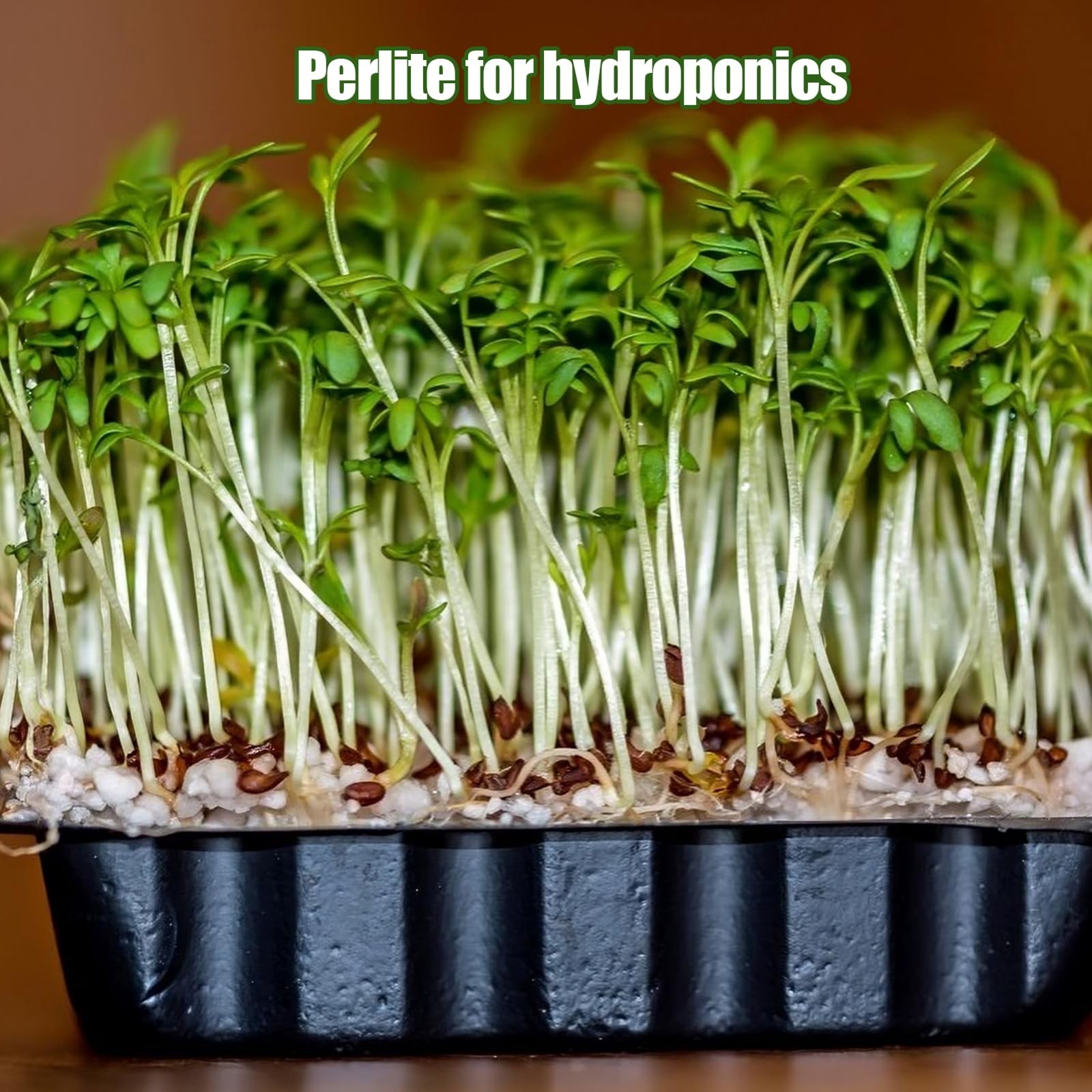 Horticultural Perlite for Plants 1qt, All Natural Horticultural Soil Additive…