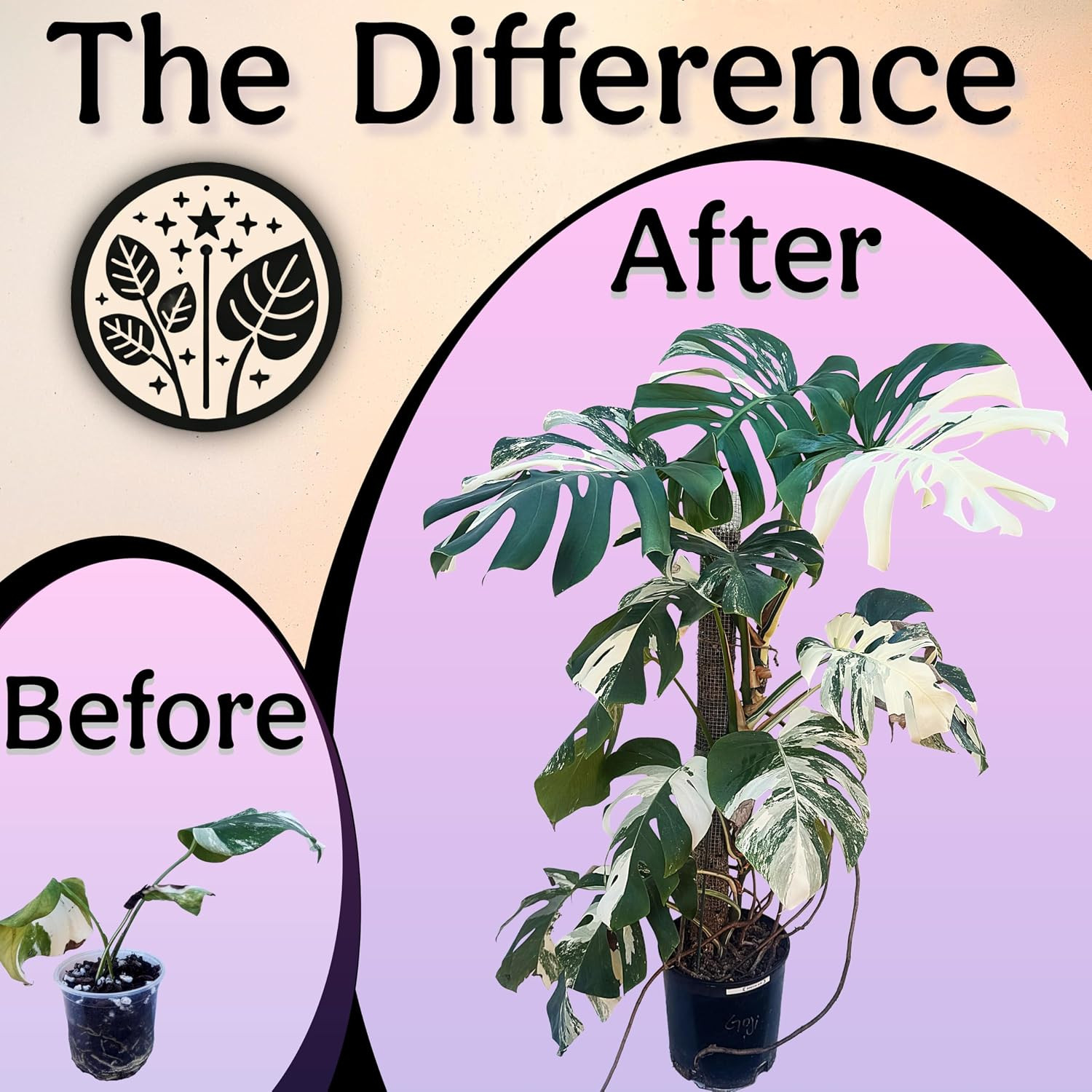Organic Liquid Indoor Plant Food, Houseplant, Tropical & All-Purpose Indoor Plan