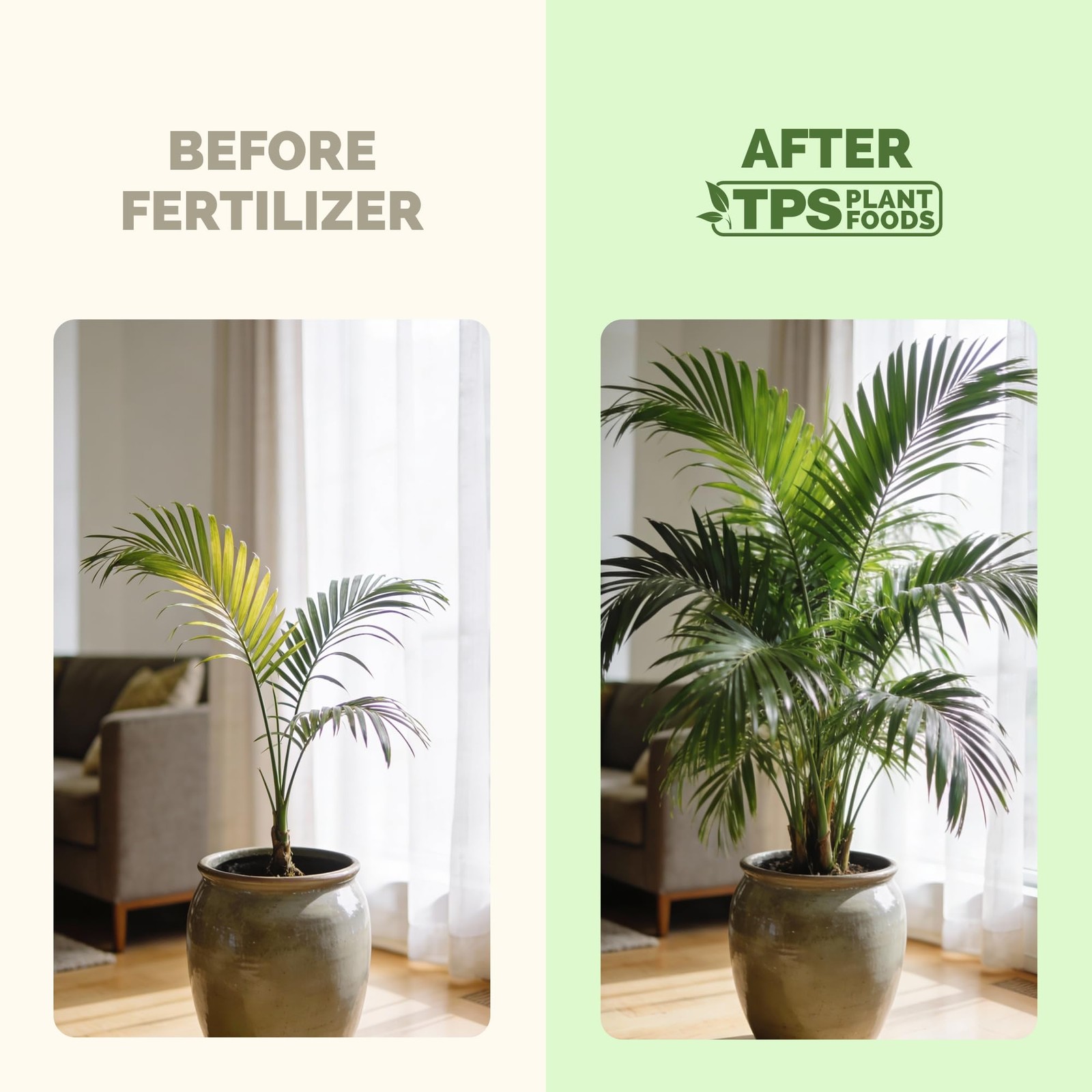 Palm Tree Fertilizer, Liquid Plant Food for Rich Green 8 oz (1/2 Pint)