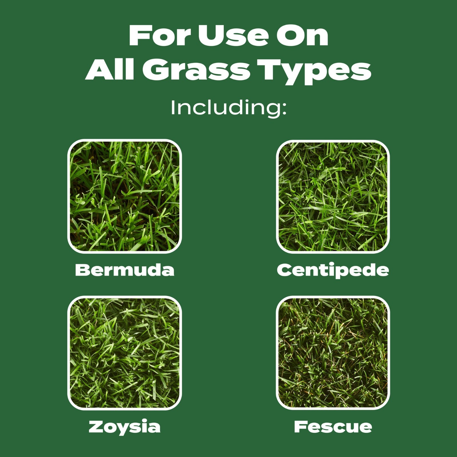 HOT DEAL 2026 Scotts Turf Builder Lawn Fertilizer, 15,000 sq. ft., 37.50 lbs.