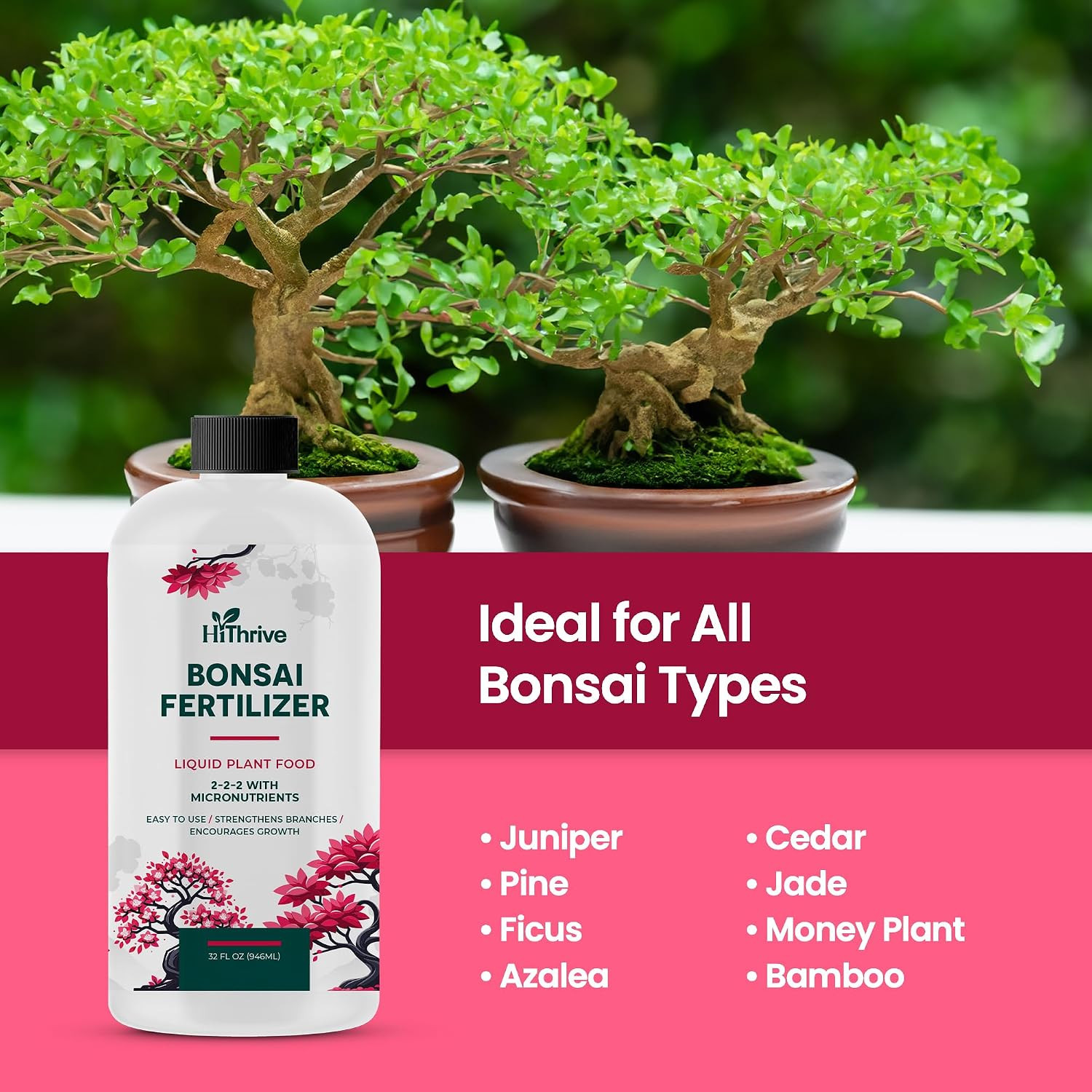 32Oz Bonsai Tree Live Liquid Plant Food – Makes 64 Gallons of Bonsai Fertilizer