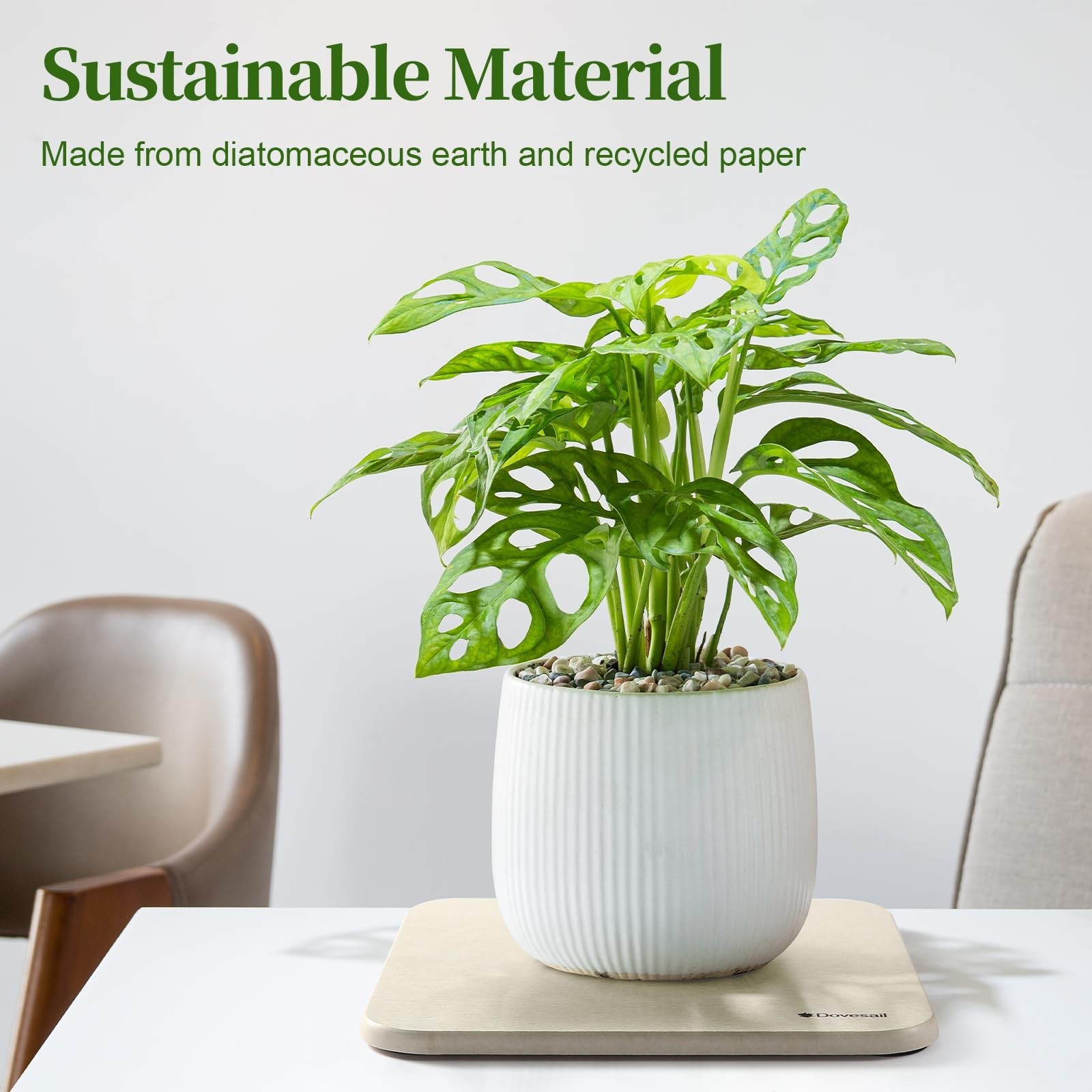 Plant Saucer, 12″ Instantly Dry Diatomaceous Earth Stone Prevents Moisture Bu…