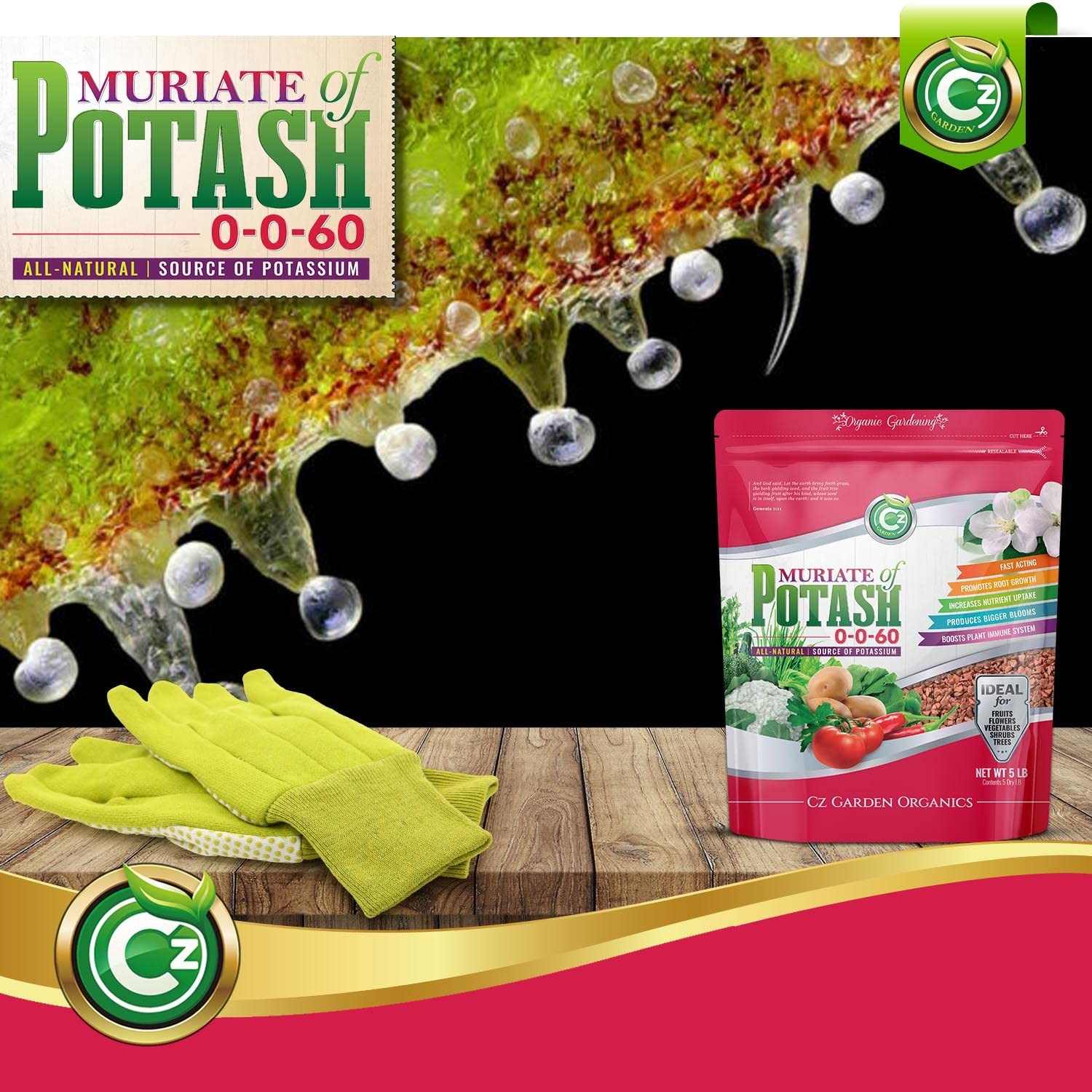 Muriate of Potash 0-0-60 Fertilizer Cz Garden Organics 5LB