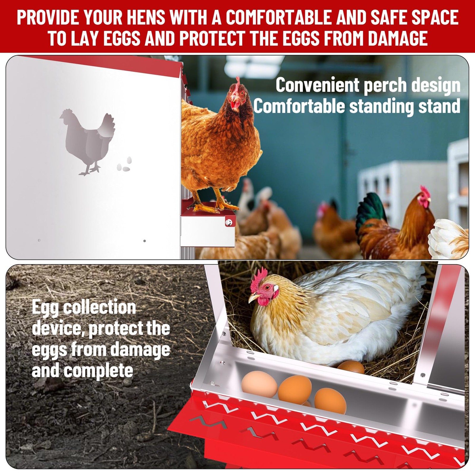 6 Compartment Metal Chicken Nesting Box Roll Out Egg Collection