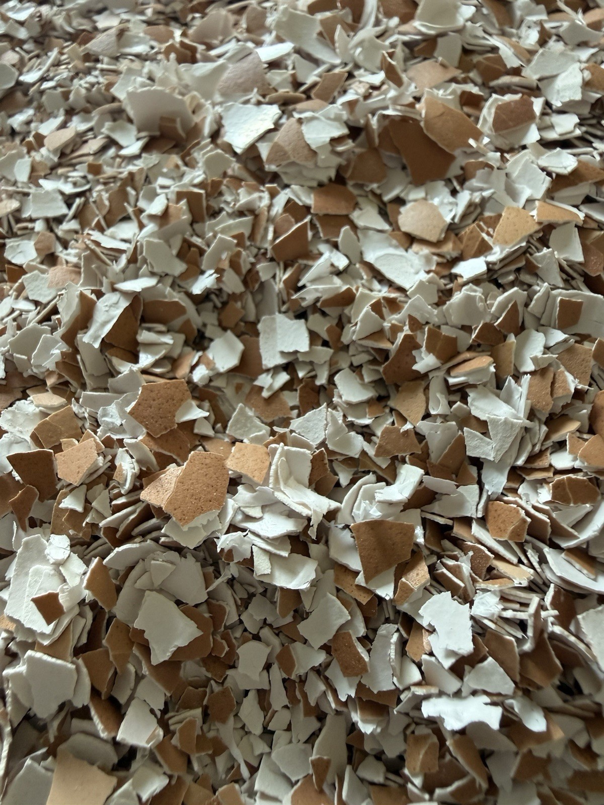 Crushed Organic Egg Shells – 1 lb