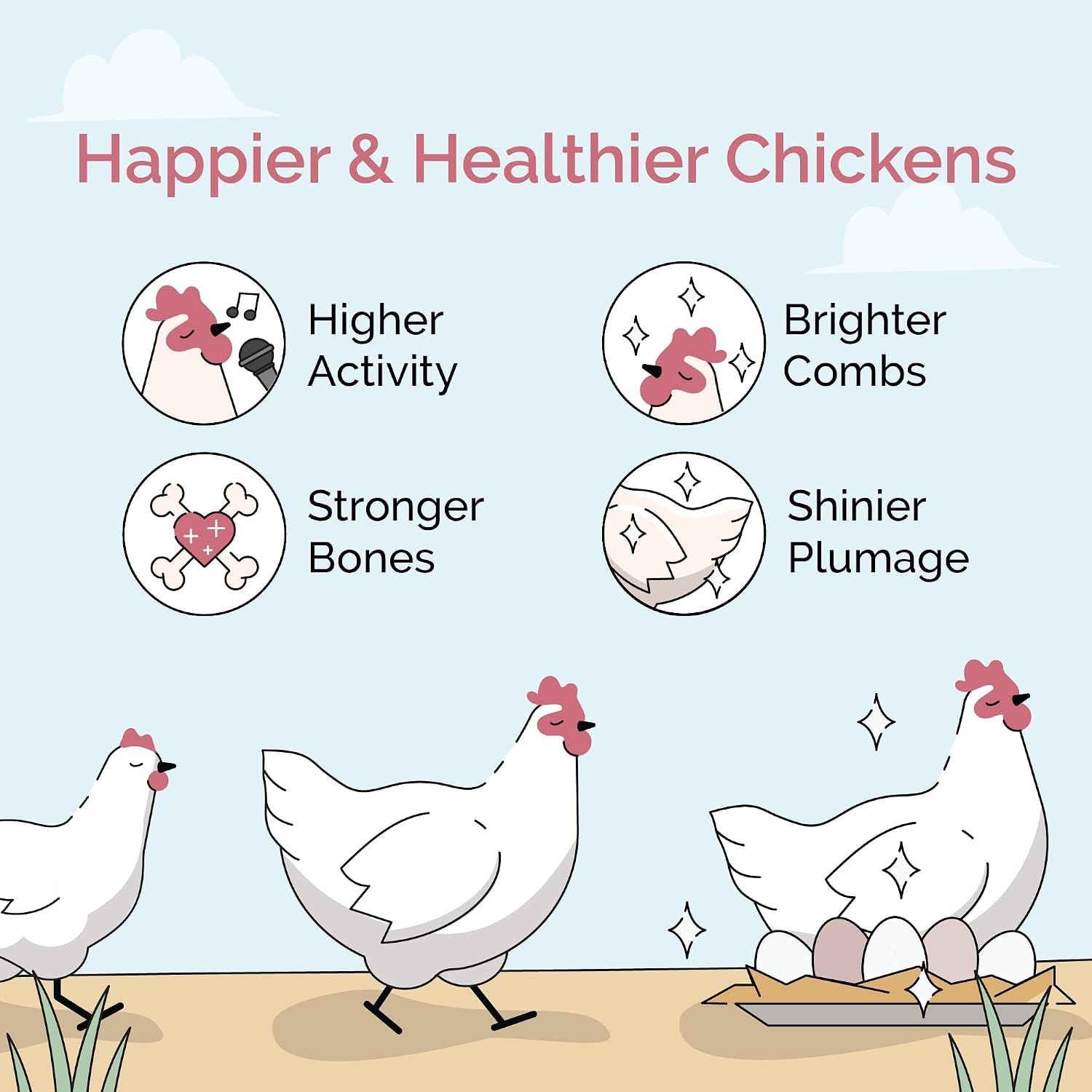 Organic Non-GMO Chicken Feed 23lb Mash – 100% USA Grown, Healthy Chickens
