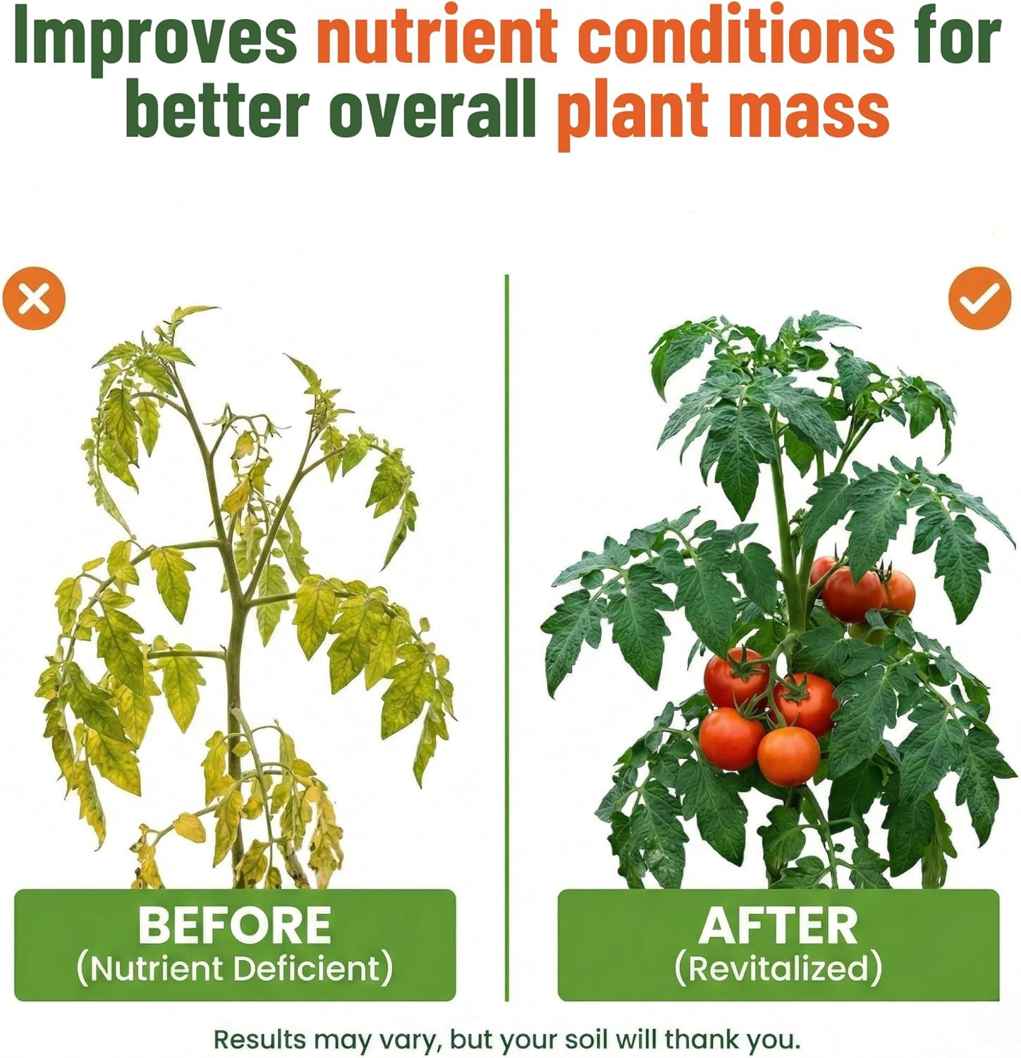 GS Plant Foods Liquid Kelp Fertilizer – Suitable for Organic Growing, OMRI Liste