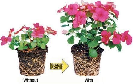 Sachets Helps Your Plants Grow Bigger Faster and Stronger