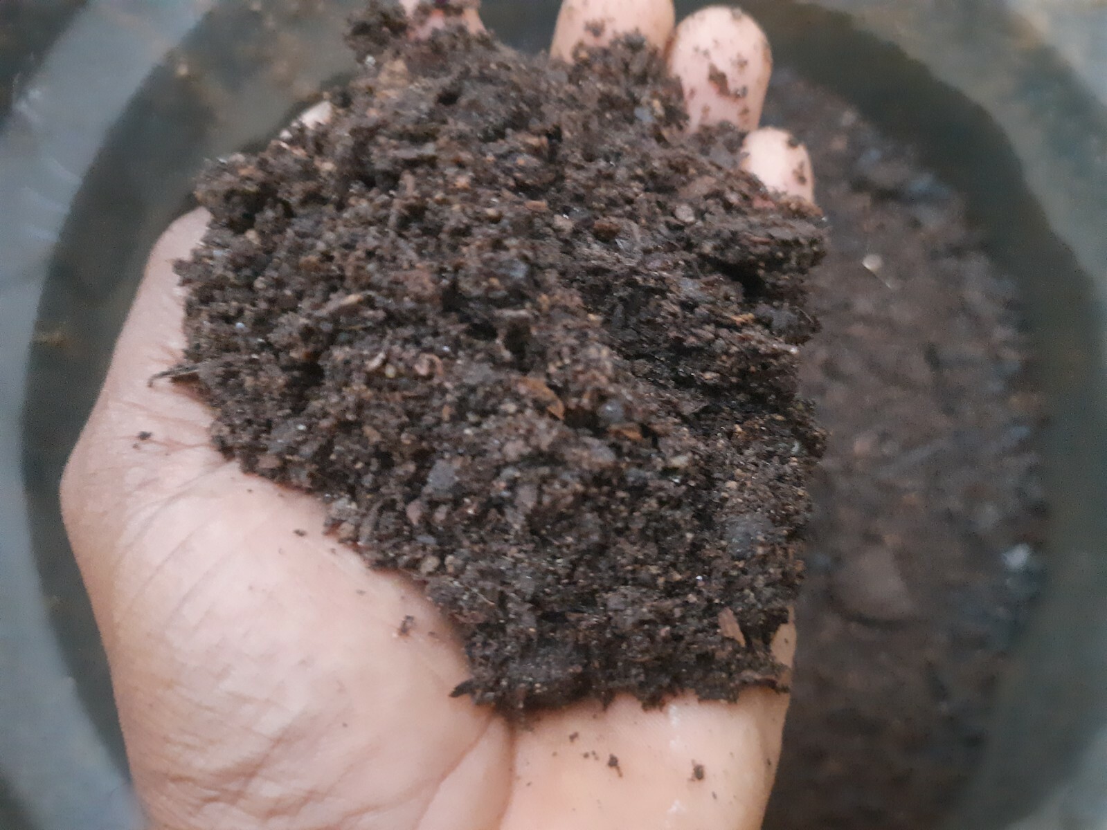 Compost Organic Dried mixing fertilizer Cow Dung,chicken Manure,Goat Dung Ceylon