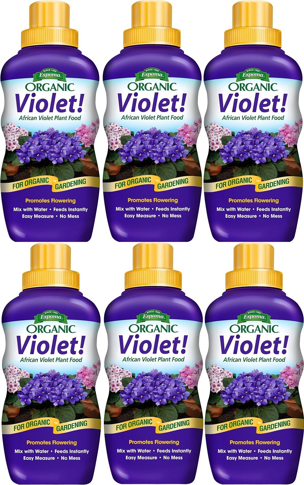 Espoma VIPF8 8 oz Violet! Organic African Violet Plant Food – Pack of 6