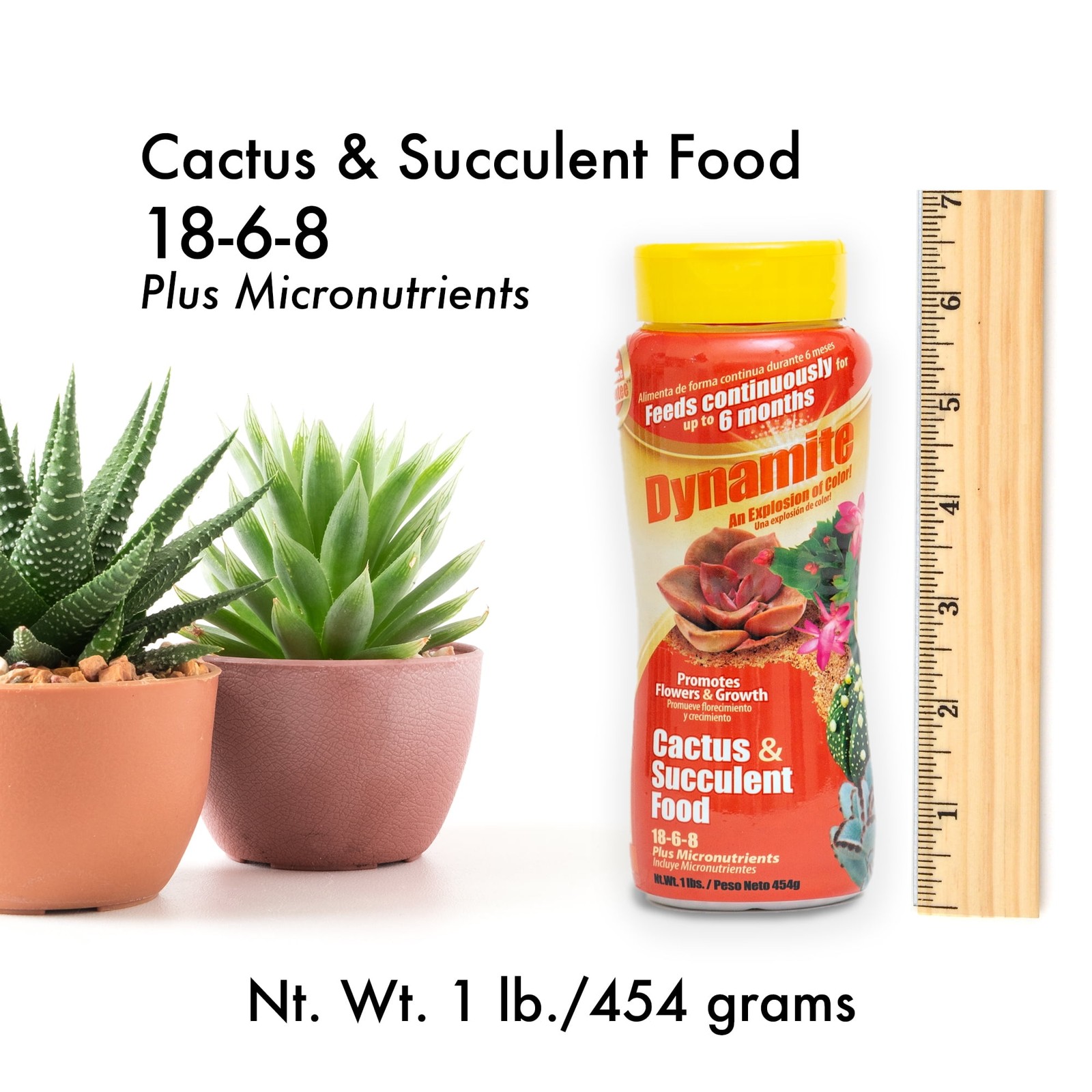Sun Bulb Cactus & Succulent Plant Food, 18-6-8 Fertilizer, 1 lb.