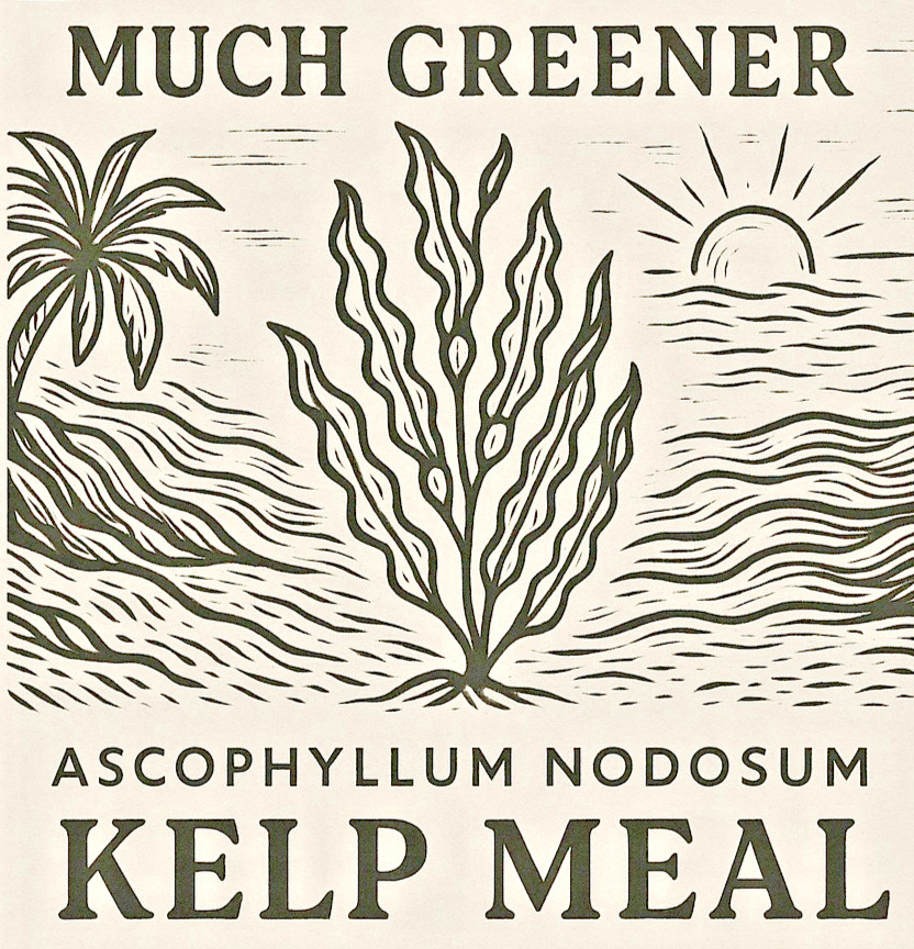 Kelp Granules of Ascophyllum Nodosum. Natural fertilizer NPK 1-0-3, choose Qty.