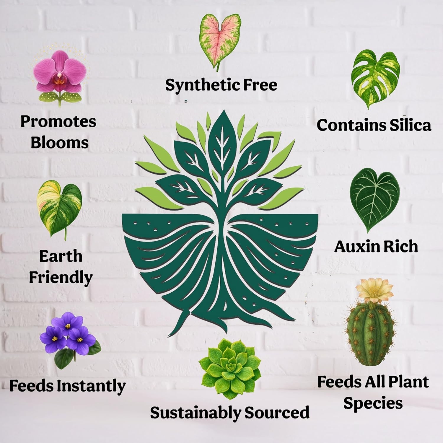 Organic Liquid Fertilizer 5-5-5 for Indoor Plants w/ Sea Kelp 8oz