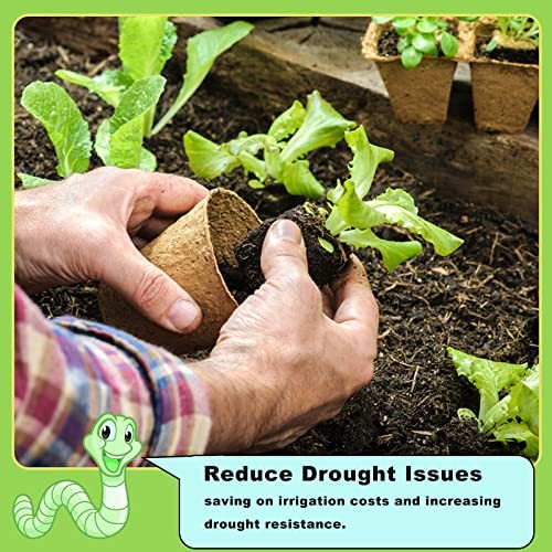 Doter Organic Worm Castings Fertilizer for Gardening, Tomato, Strawberry