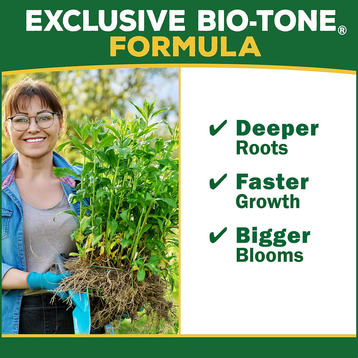 Organic Rose-Tone 4-3-2 Organic Fertilizer for All Types of Roses and Other Flow