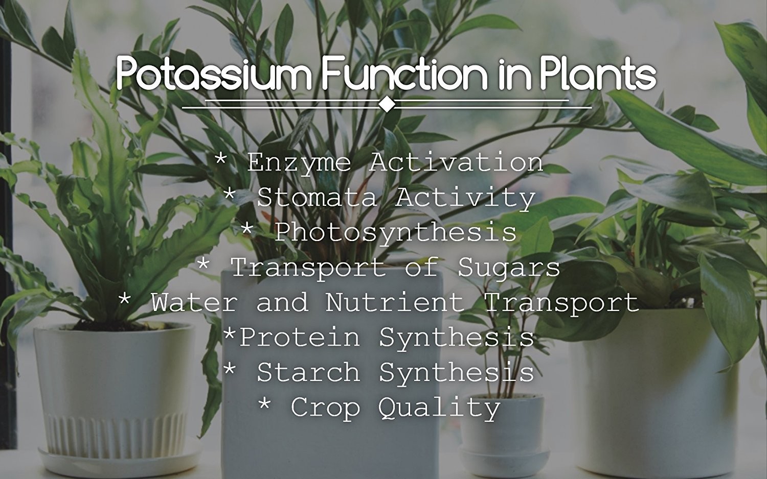 Monopotassium Phosphate Fertilizer 0-52-34, Water Soluble, Hydroponics, 2 lbs