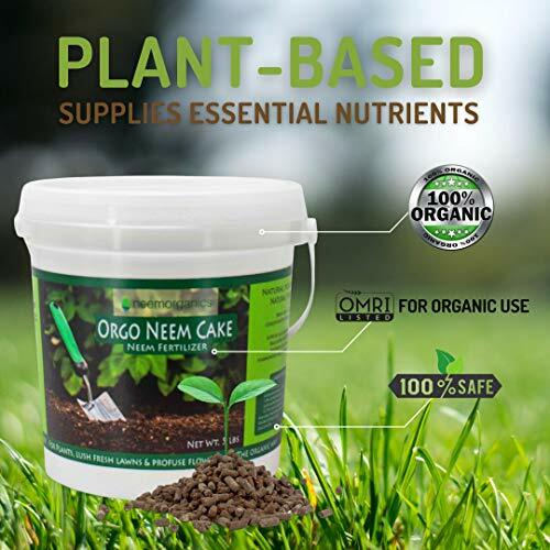 Orgo Neem Cake | 100% Organic Fertilizer for Outdoor Plants, Lawn 5 lbs