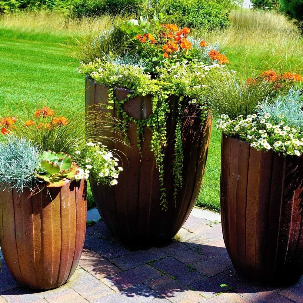 Jobe’s 06105 18 Count 8-9-12 Potted & Hanging Plant Fertilizer Spikes – 4 Pack