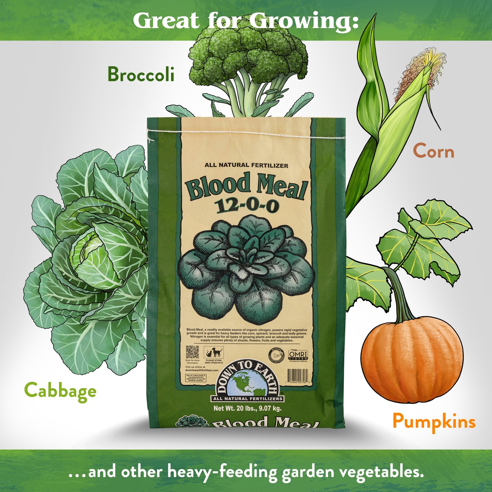 Down to Earth (#DTE02756) Organic Blood Meal Fertilizer Mix, 12-0-0, 20 lb