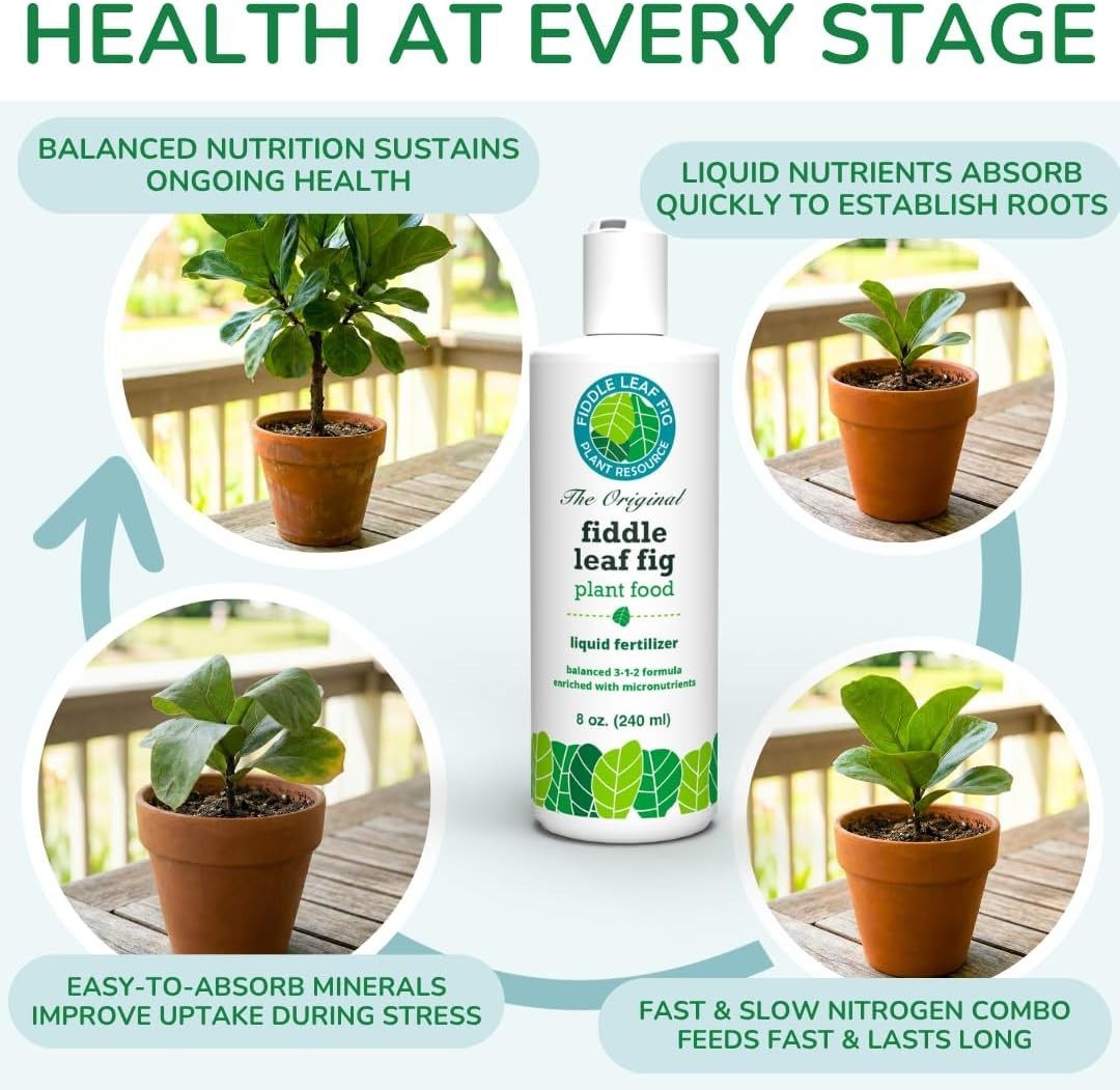 Fiddle Leaf Fig Nutrient Boost – 8 oz 3-1-2 Liquid Fertilizer with Care E-Book