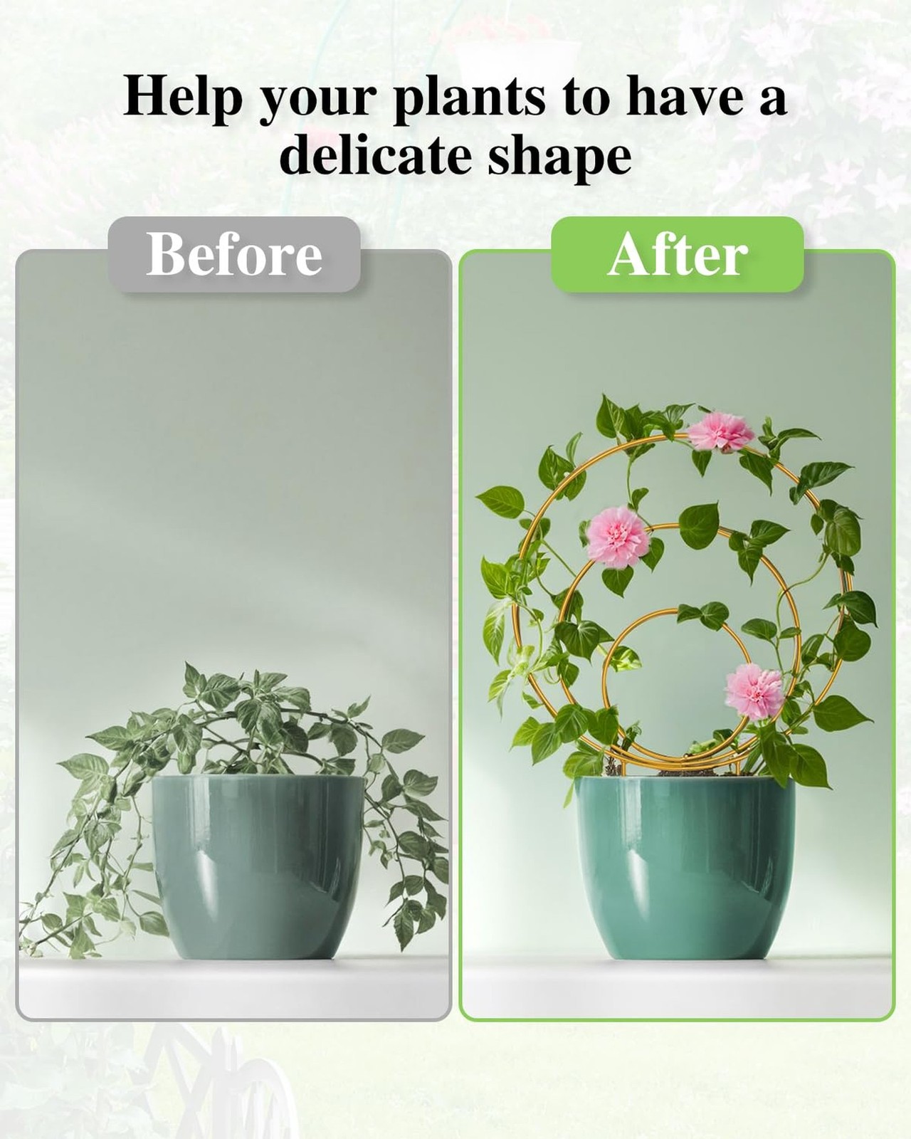 3 Pack Premium Round Plant Trellis Indoor, Small Metal Plant Support Stake fo…