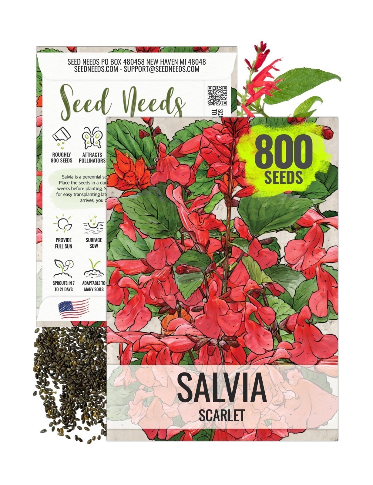 Seed Needs, Scarlet Red Sage Seeds – 800 Heirloom Seeds for Planting Salvia c…