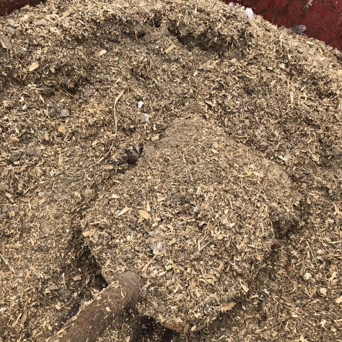Organic Chicken Poop Compost For Trees