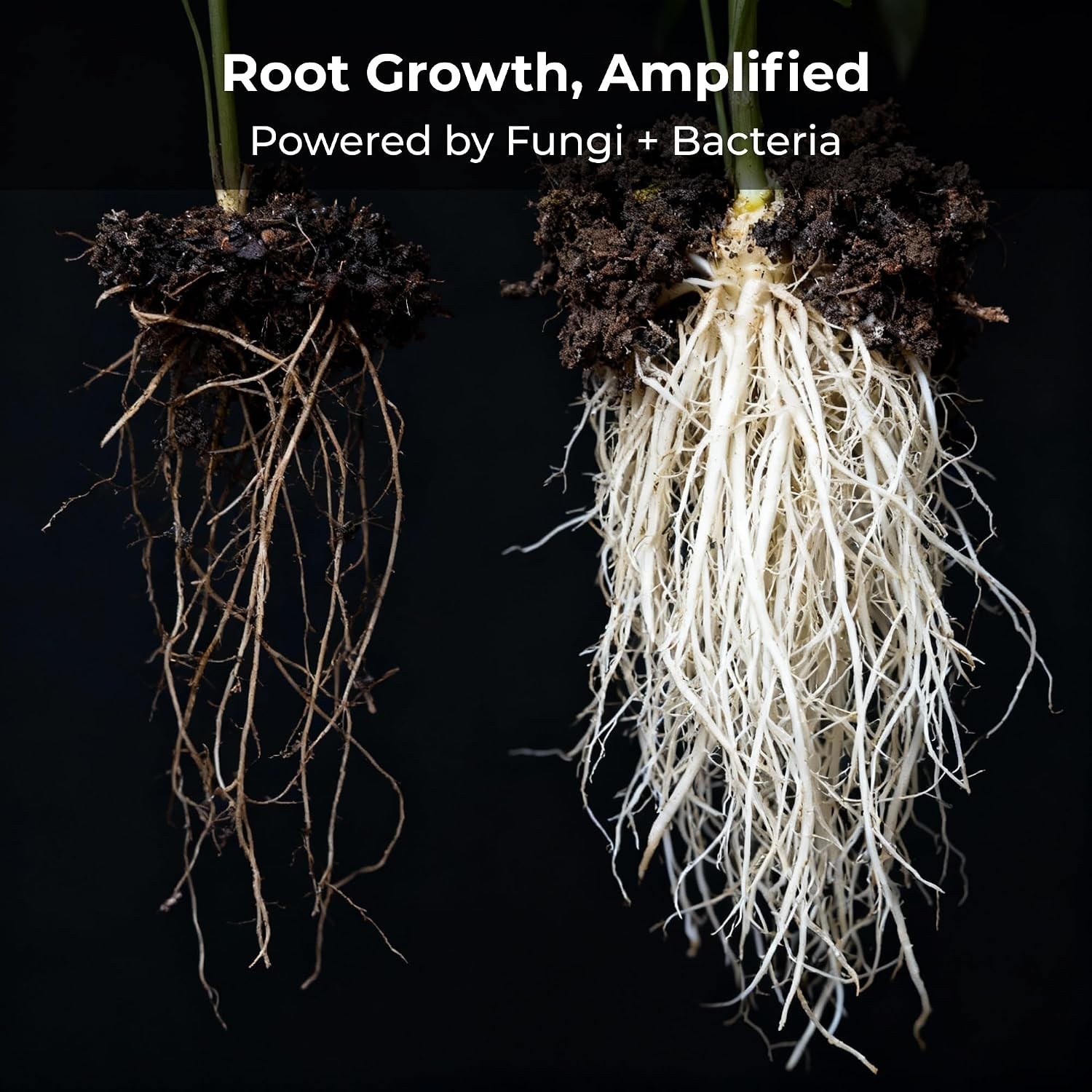 Recharge 8oz Mycorrhizae Soil Inoculant