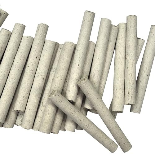 Fertilizer Spikes 30 Count 16-2-6 NPK For Fern and Palm Plants Plant Food