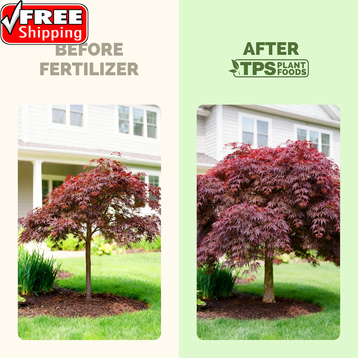 Japanese Maple Fertilizer – Liquid Plant Food for Vibrant Color, Stronger Roots