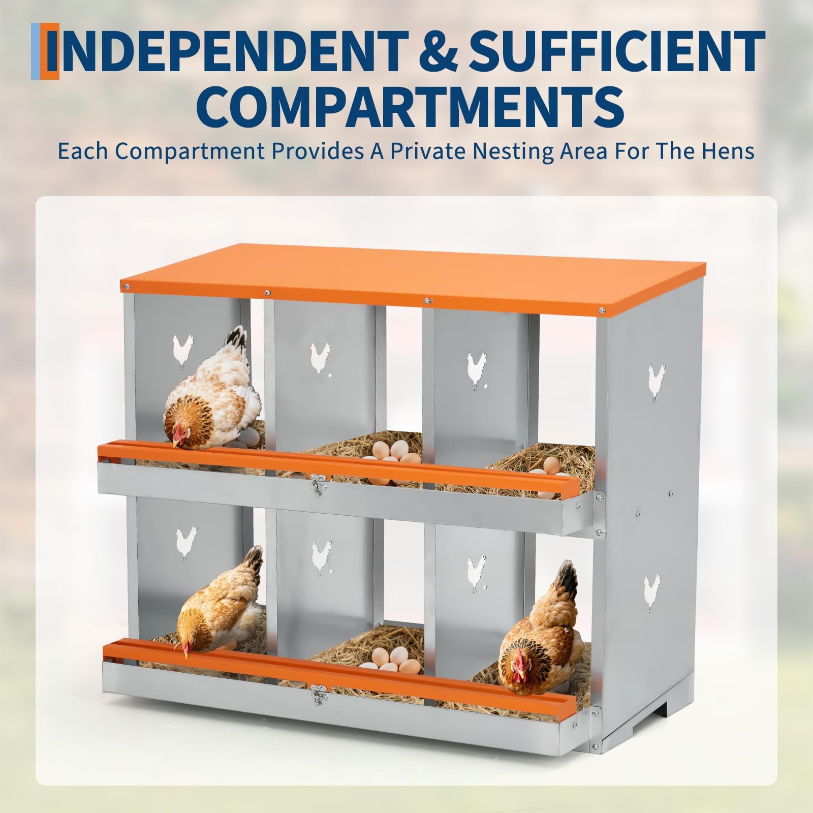 Eliteedge 6 Compartment Nesting Boxes For Chickens Chicken Nesting To Protect