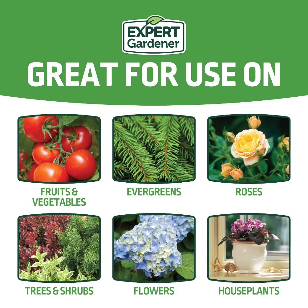 All-Purpose Water Soluble Plant Food Fertilizer, 1.5 lb