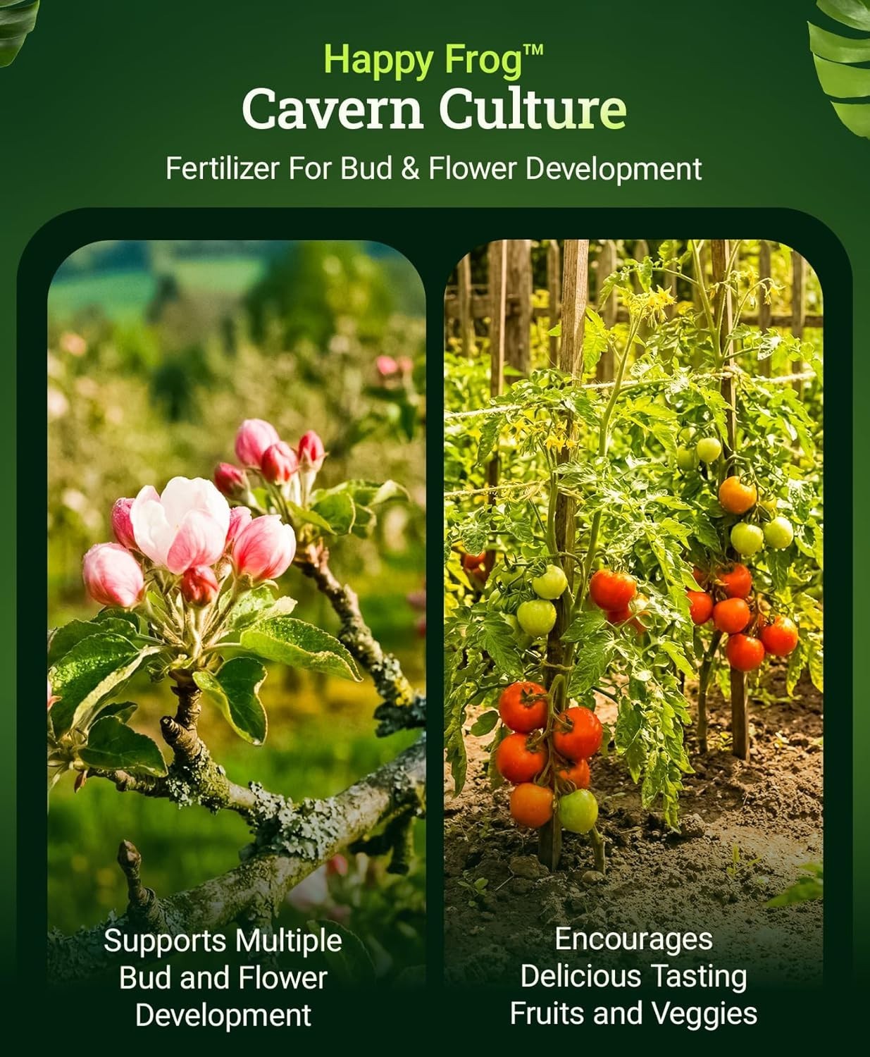 Happy Frog Cavern Culture Fertilizer – 1-12-0 Organic Blend for Bud Development