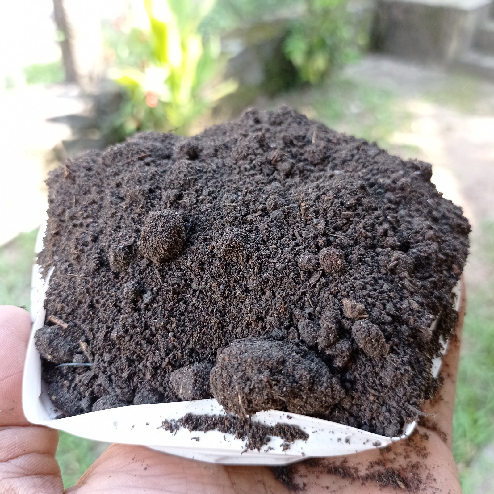 Ceylon Compost Fertilizer 50g-1Kg Natural Organic Natural Plant Fast Growth 100%