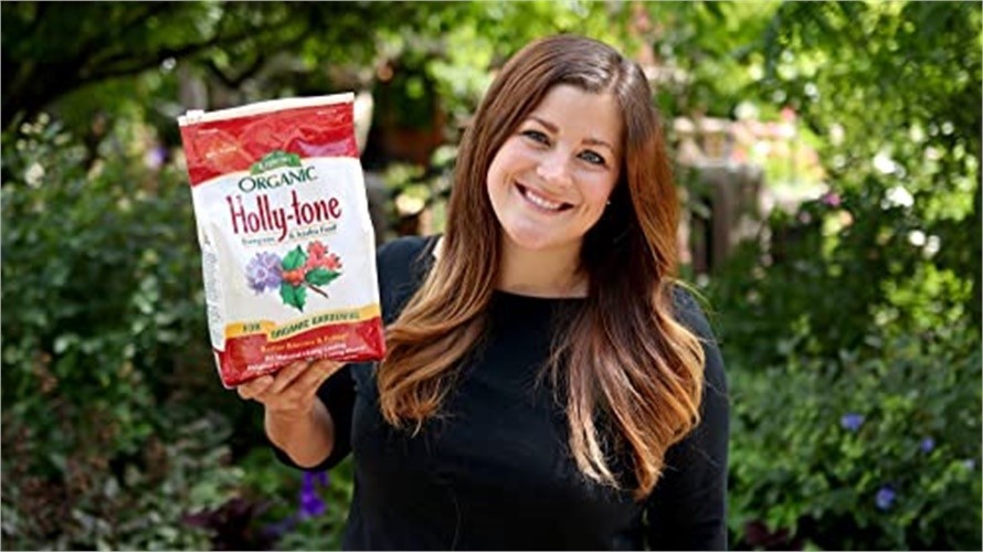 Espoma Holly-tone Organic Plant Food Granules 8 lb (Pack of 3)