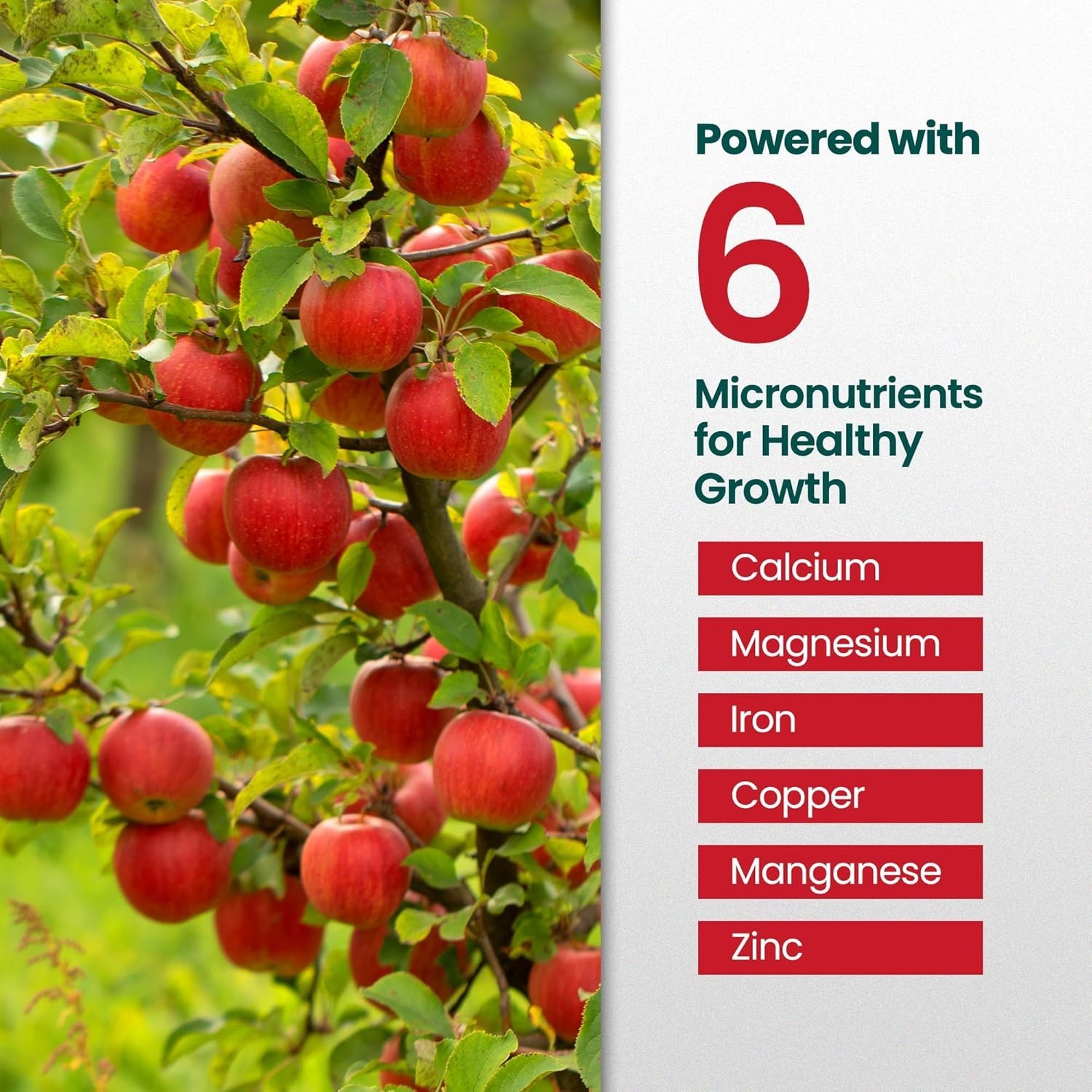 16oz Apple Tree Fertilizer Makes 16 Gallons of Apple Tree Fertilizer