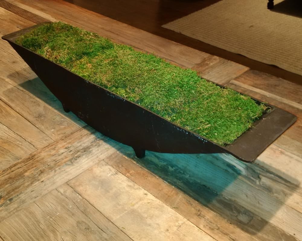 ML0480 Natural Green Sheet Moss – 520 sq. in. – Organic Decorative Moss for T…