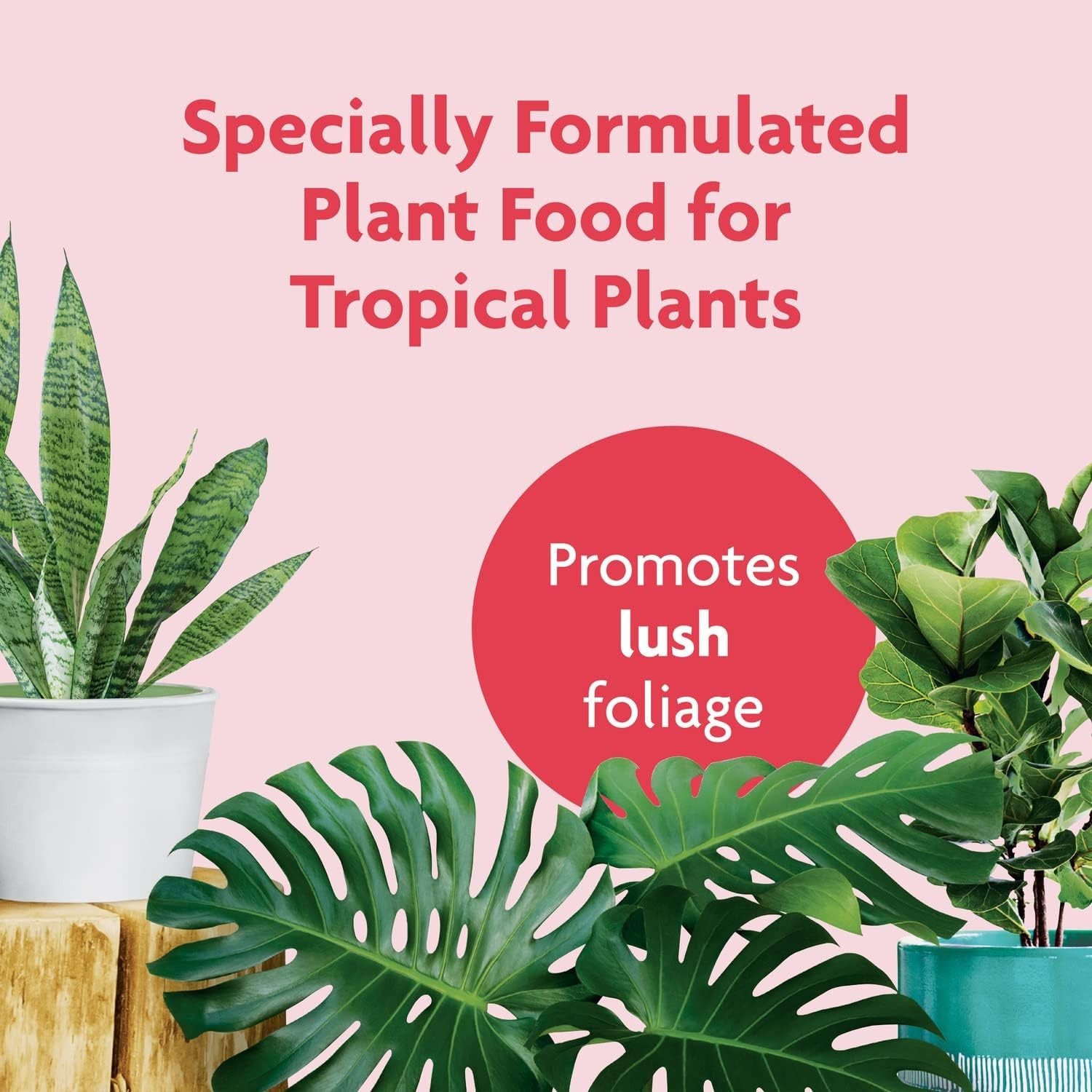 Tropical Plant Food Liquid Fertilizer 16 Ounces Full Coverage for Indoor Plants