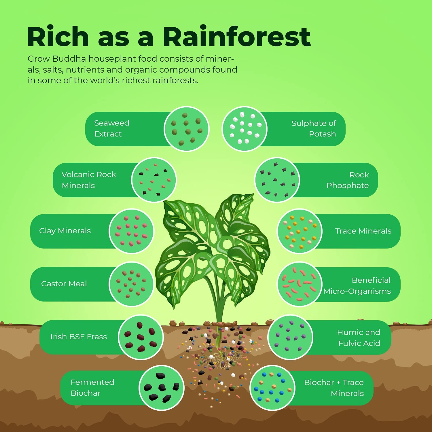 Houseplant Food – Granular Organic Plant food Dirt All Purpose for Healthy