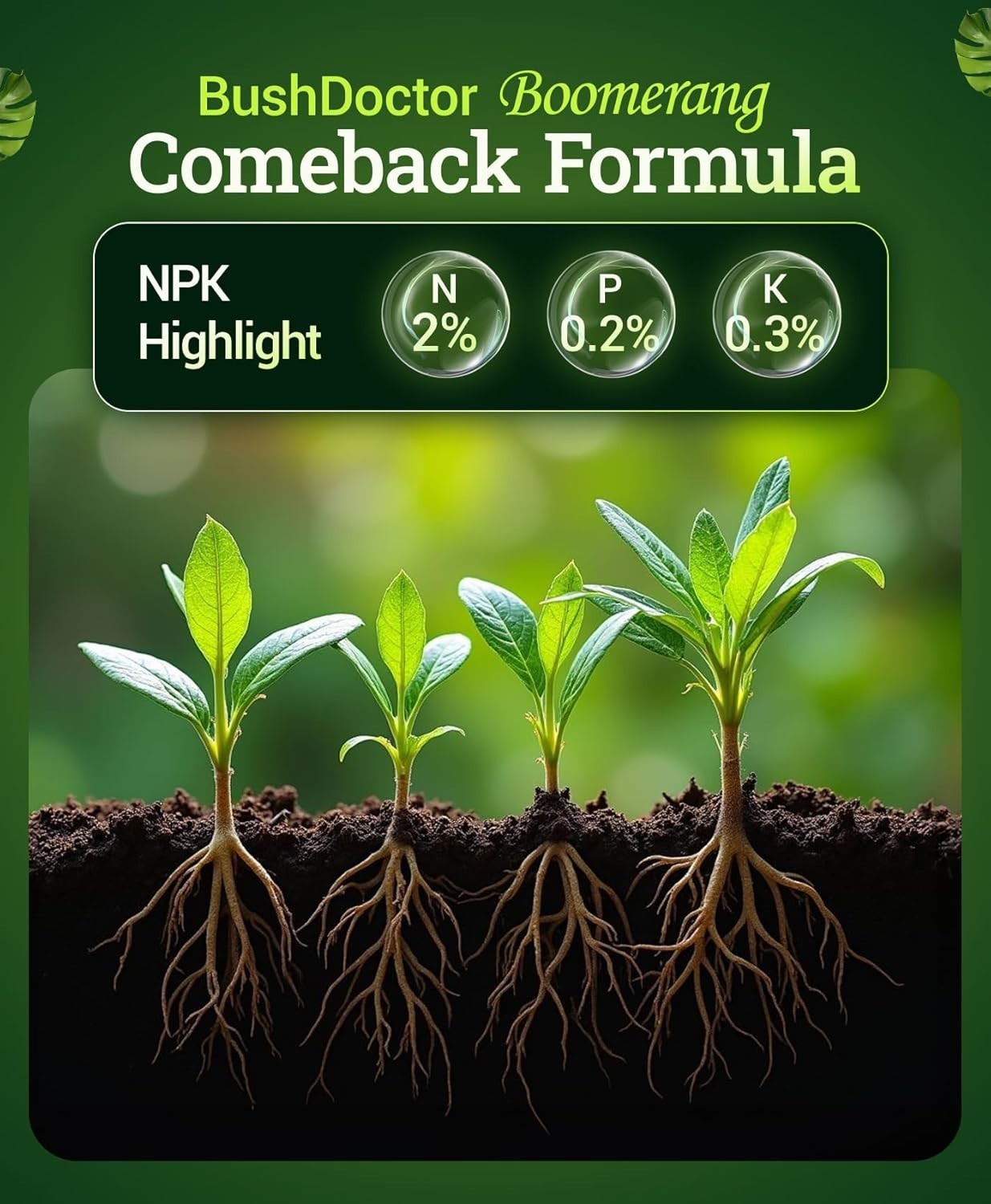 Instant Nutrient Uptake with Bush Doctor Boomerang – Liquid Fertilizer 1 Pint