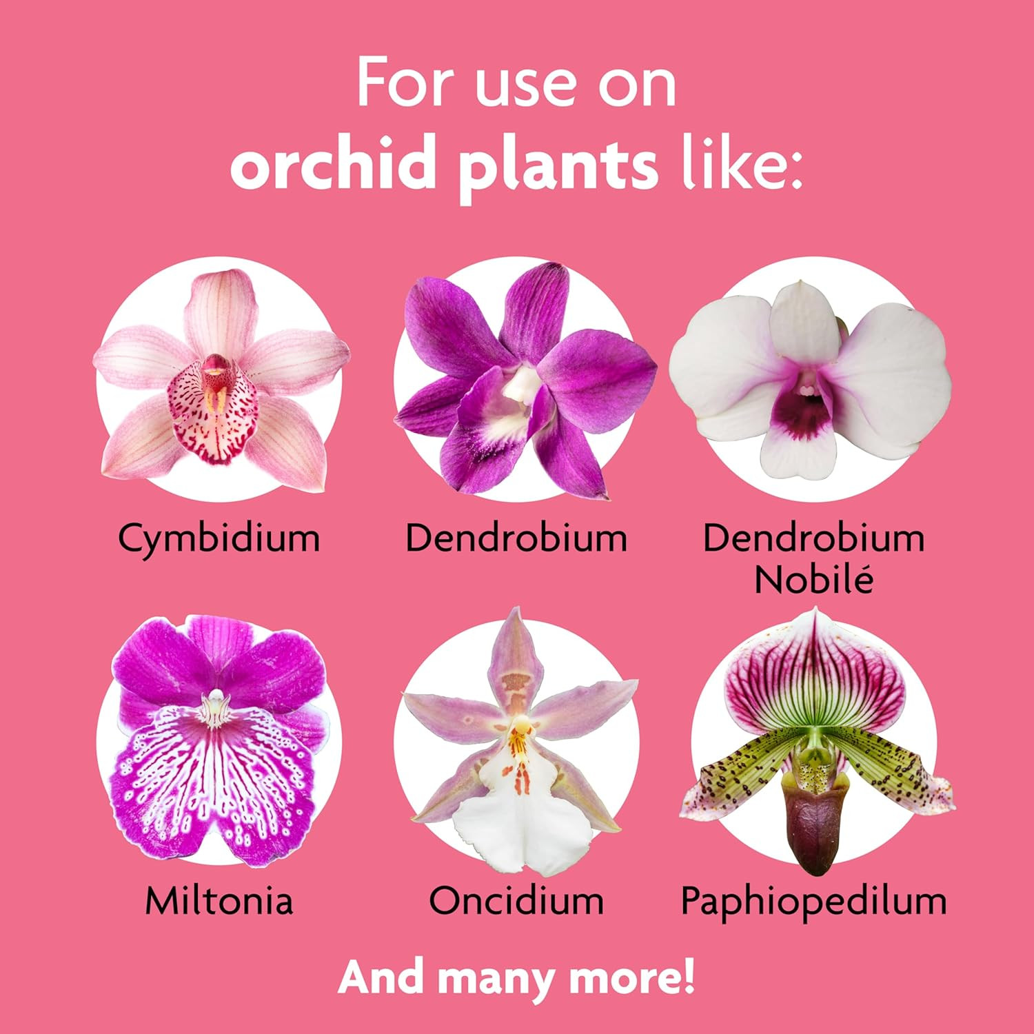 Miracle-Gro Ready-To-Use Orchid Plant Food Mist – Fertilizer Mist for Indoor Blo
