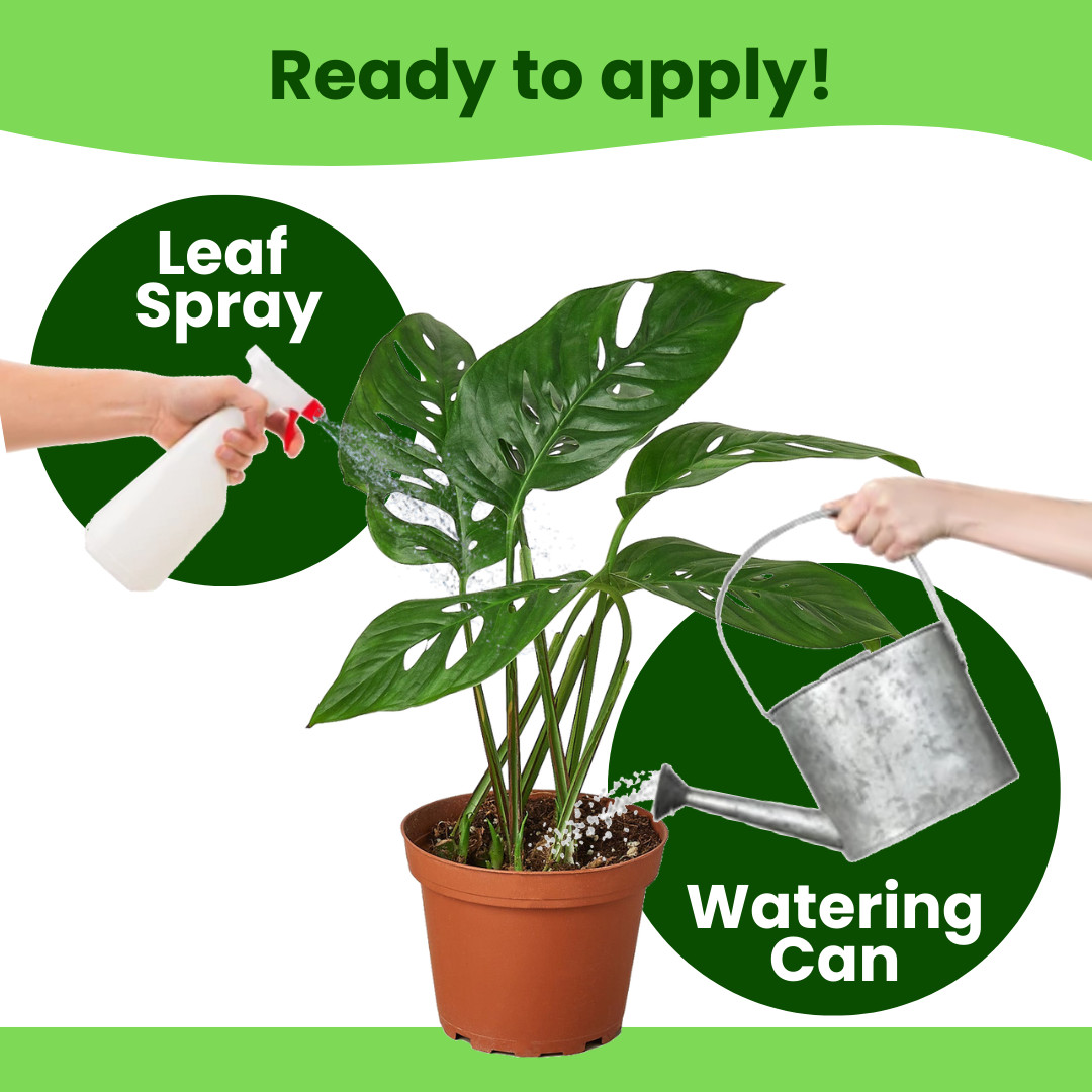 Monstera Nutrient Liquid Fertilizer Monsteras Philodendrons Lush Foliage 32 oz