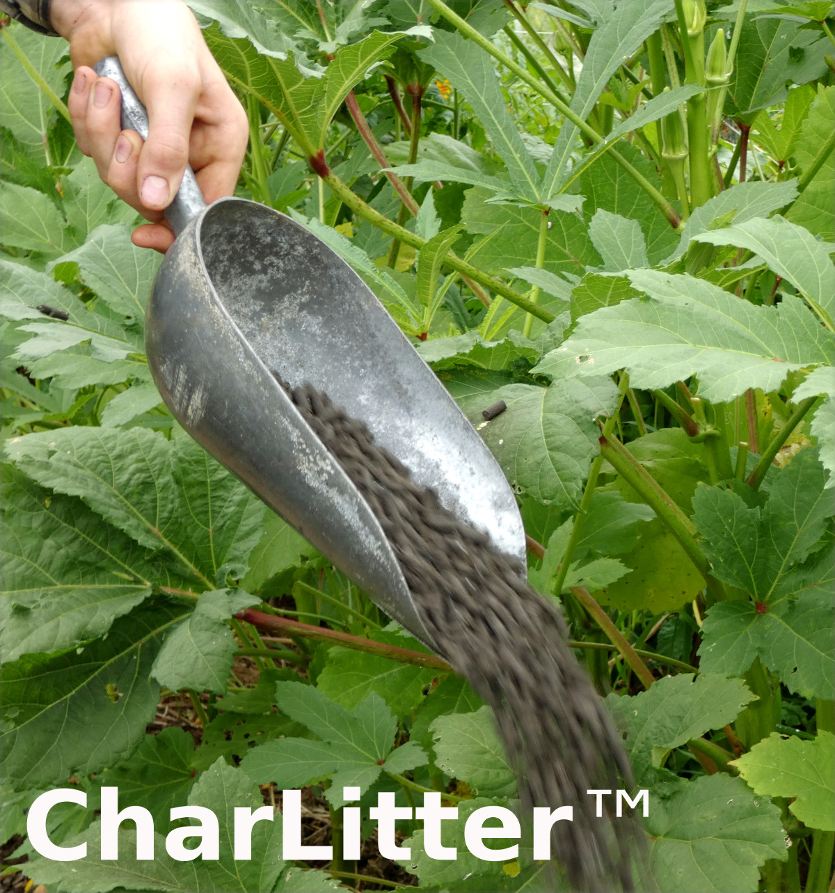 Chicken POOP Manure Fertilizer Pellet Biochar Humate & Live Microbes 2gal 11lb