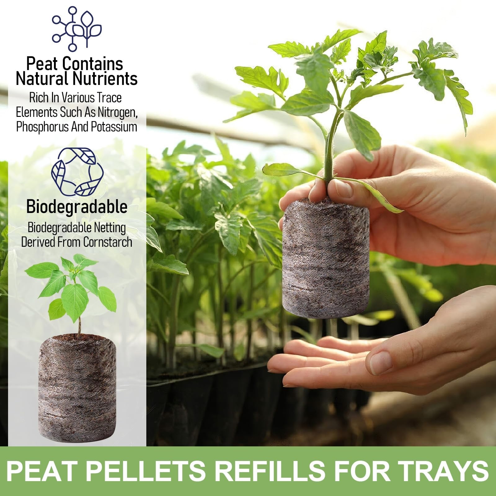 50 Pcs Seed Starter Peat Pellets Pods – Compressed Soil Plugs for Seedlings, Her