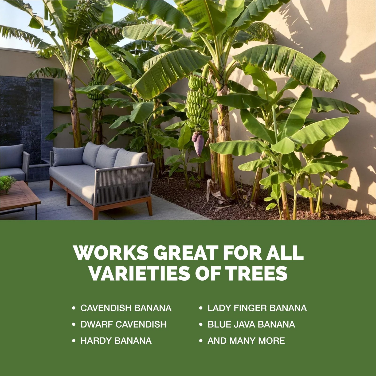 Banana Tree Fertilizer – Liquid Fertilizer for All Banana Tree Varieties,